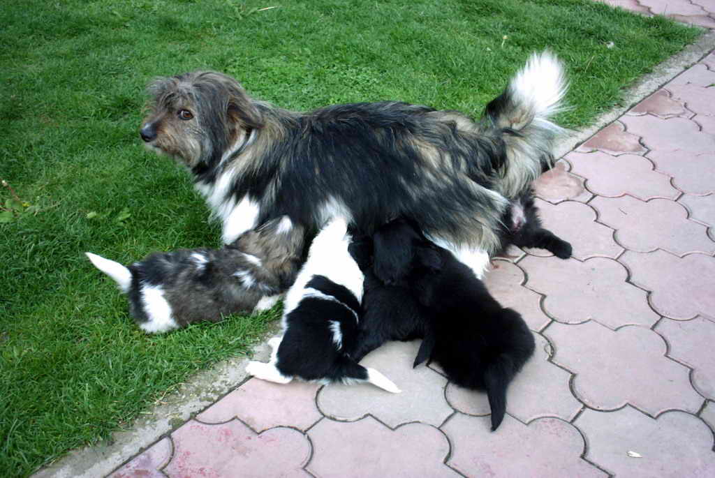 PICT0010_resize.jpg