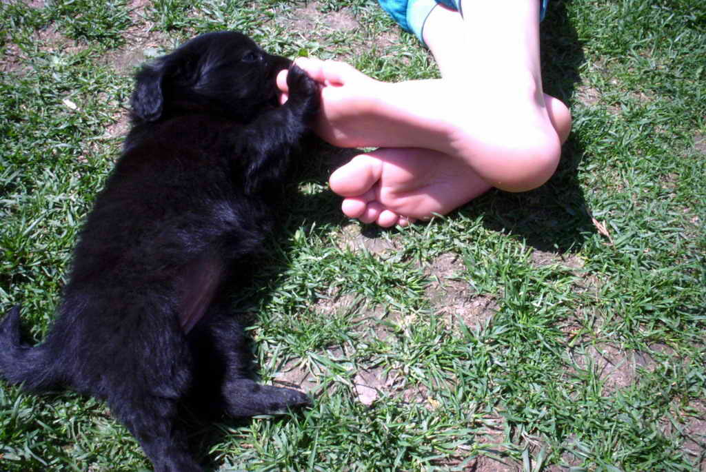 PICT0022_resize.jpg