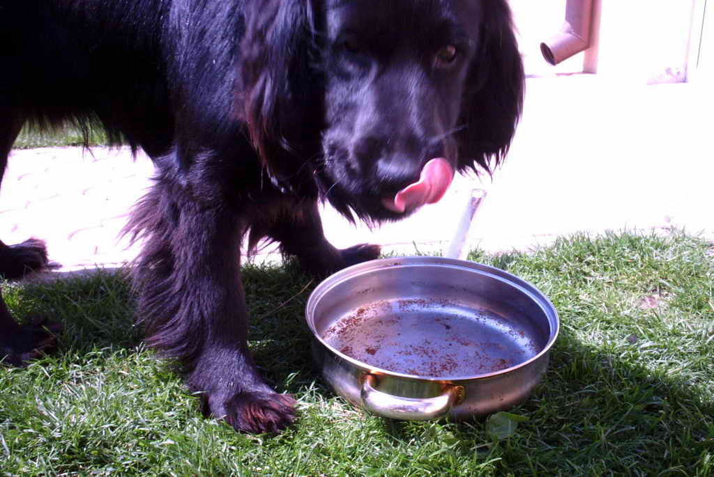 PICT0026_resize.jpg