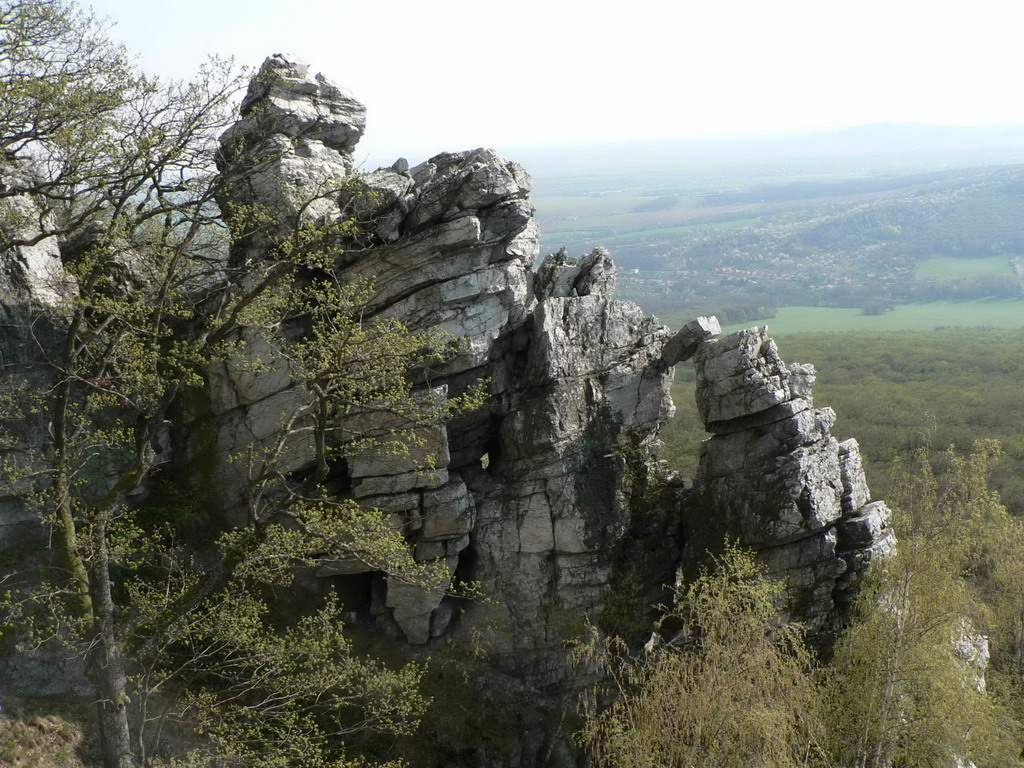 P1020695_resize.JPG