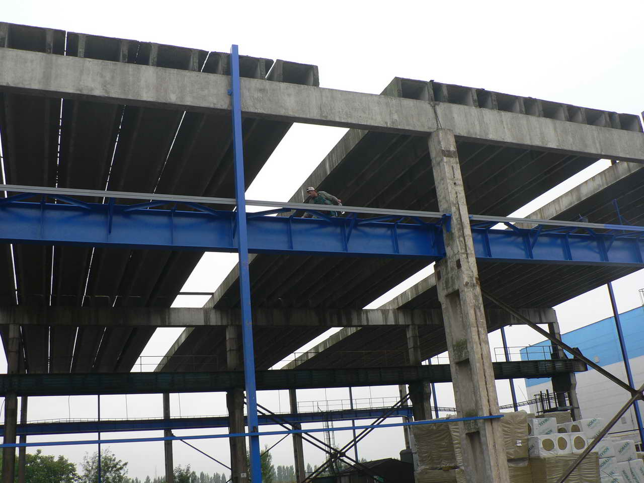 P1010245_resize.JPG