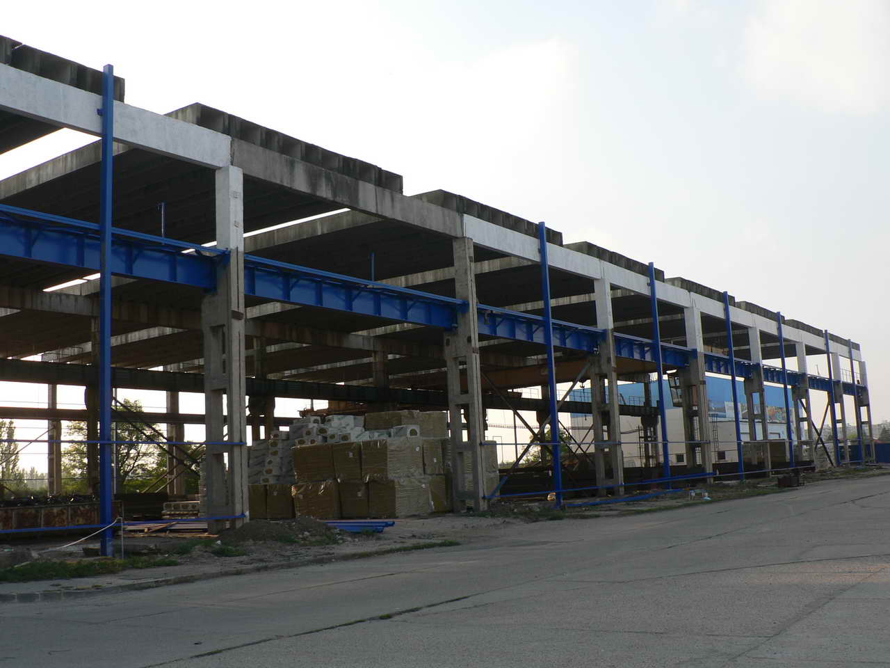 P1010253_resize.JPG