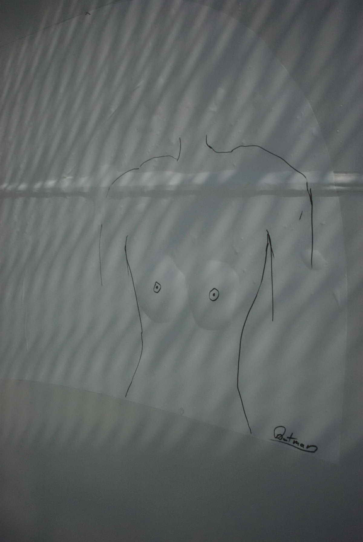 PICT0028.jpg