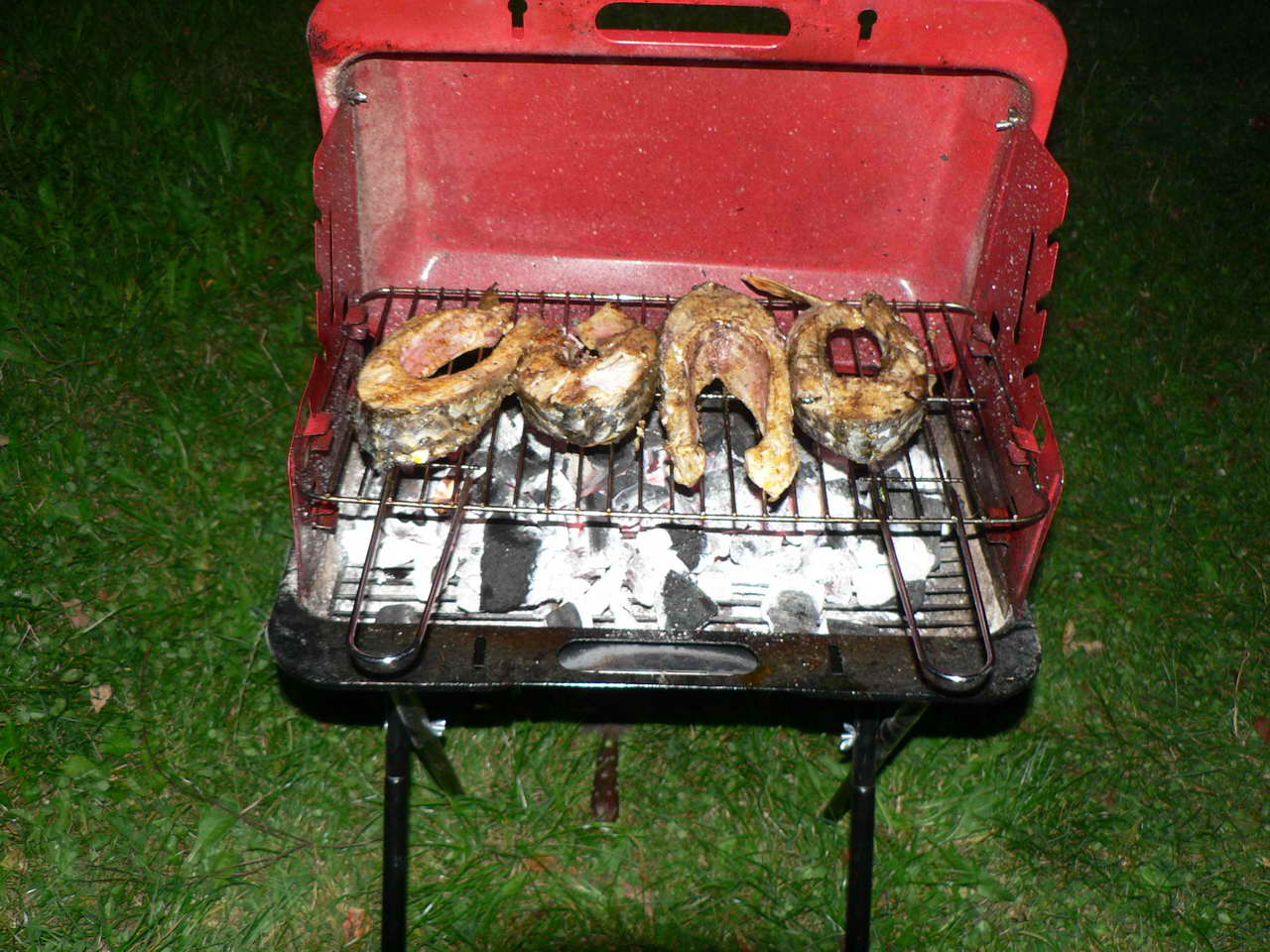 P1070555_resize.JPG