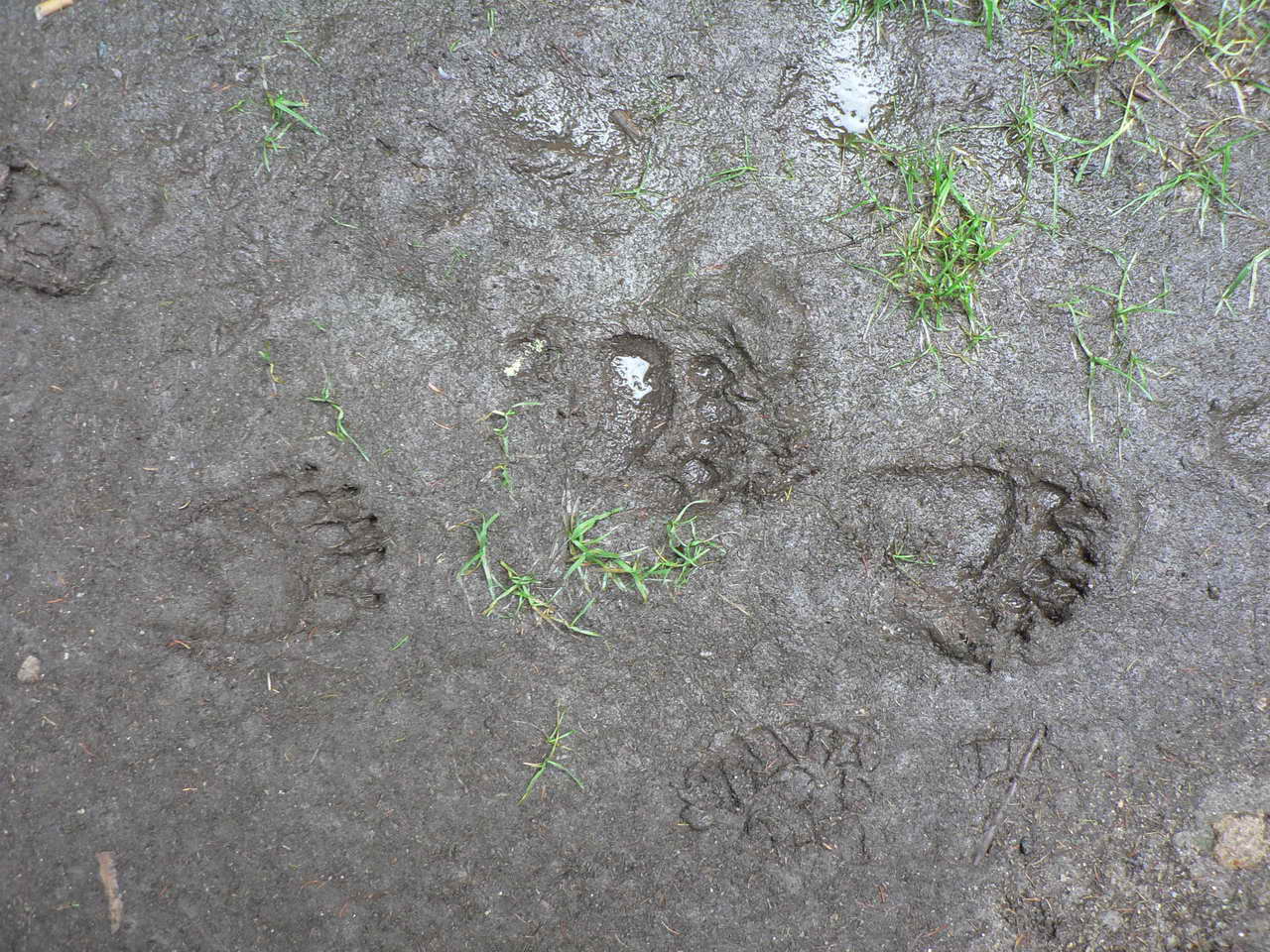 P1080735_resize.JPG