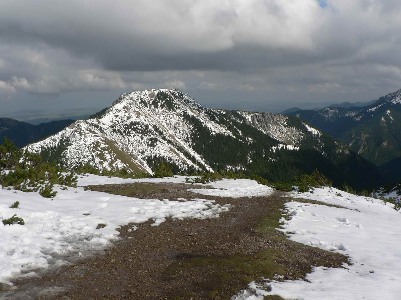 P1080748_resize.JPG