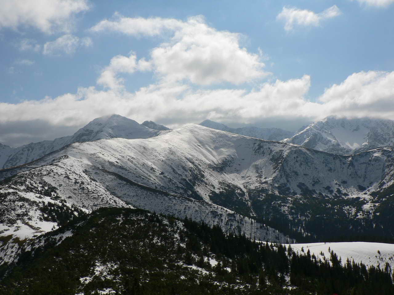 P1080753_resize.JPG