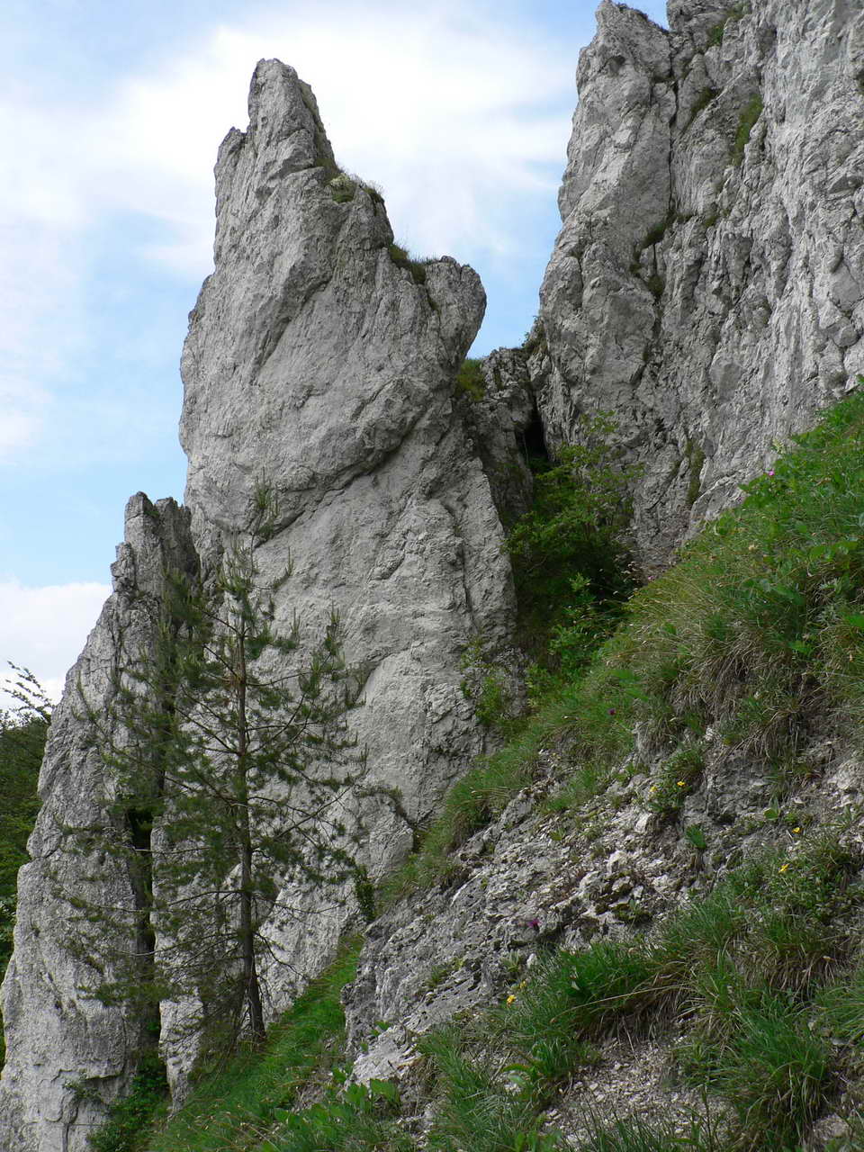 P1060686_resize.JPG