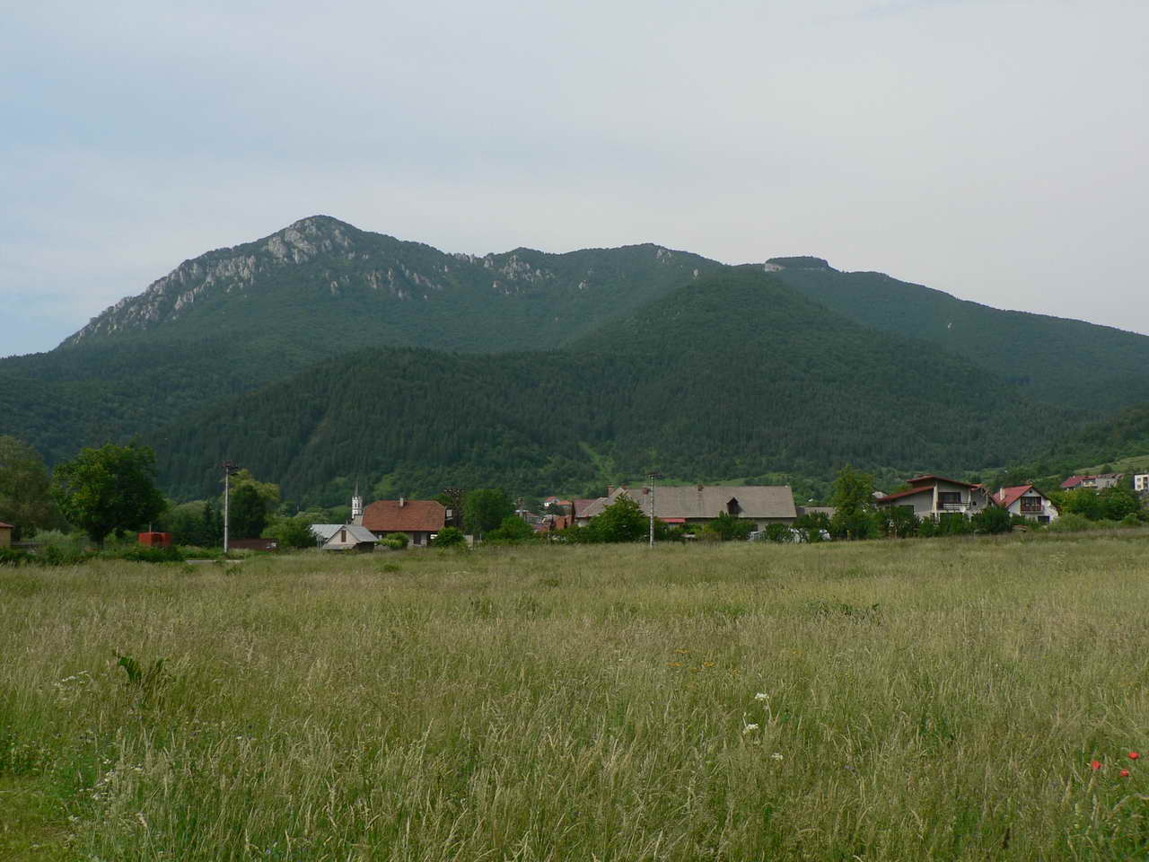 P1060698_resize.JPG