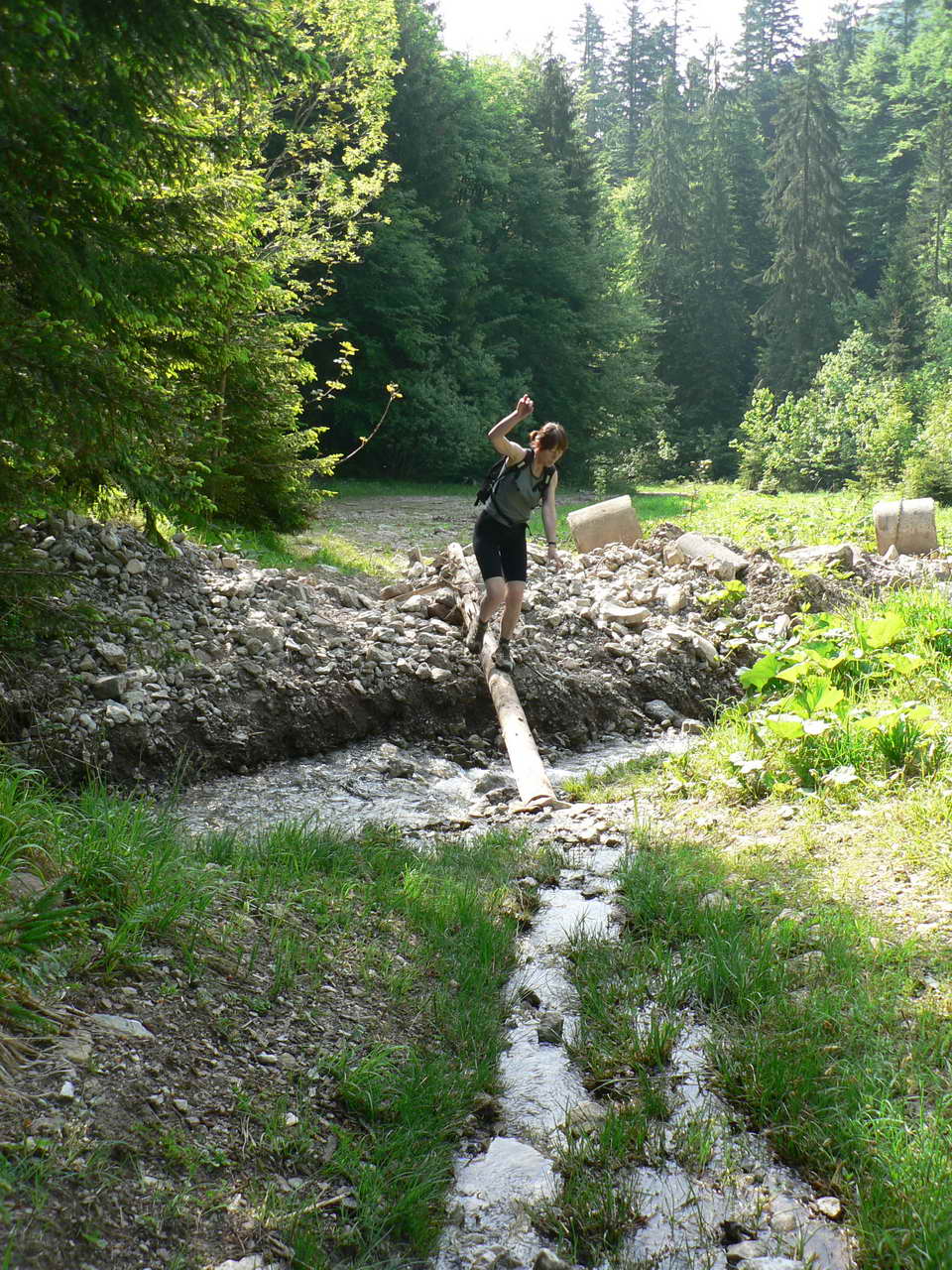 P1080199_resize.JPG