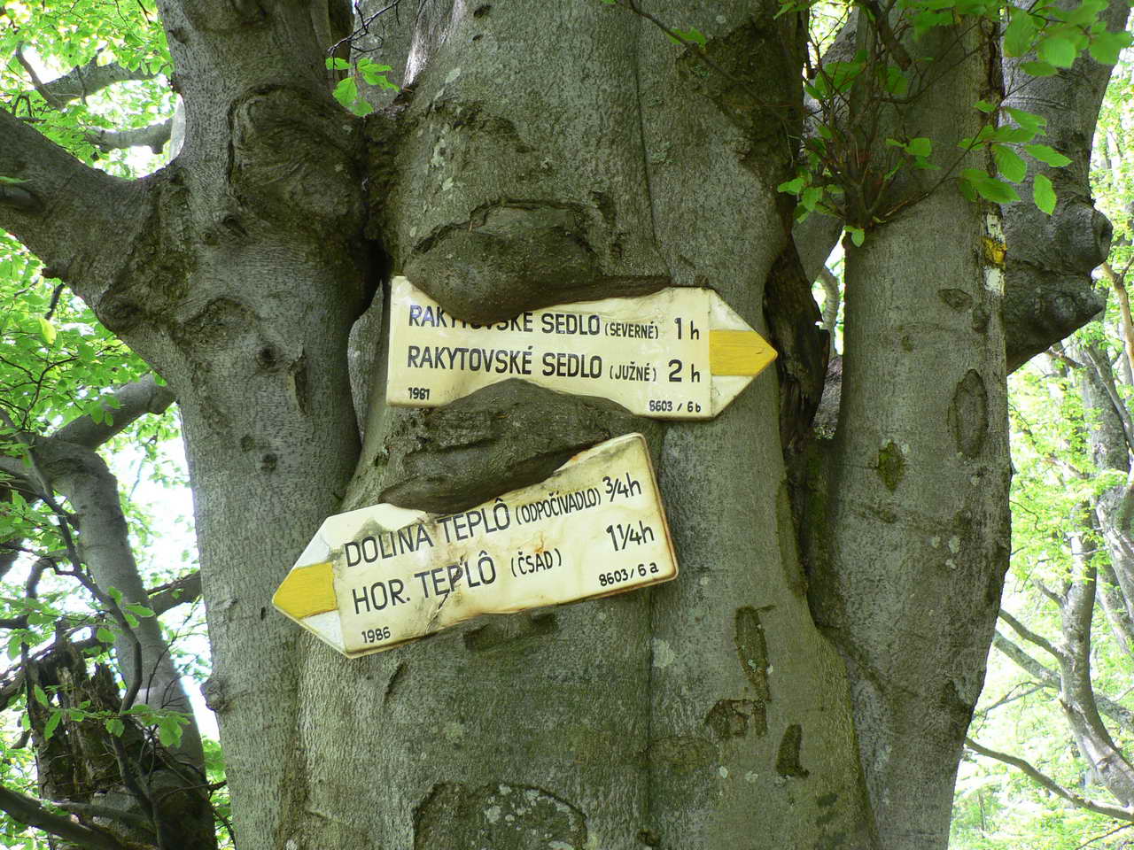 P1080211_resize.JPG