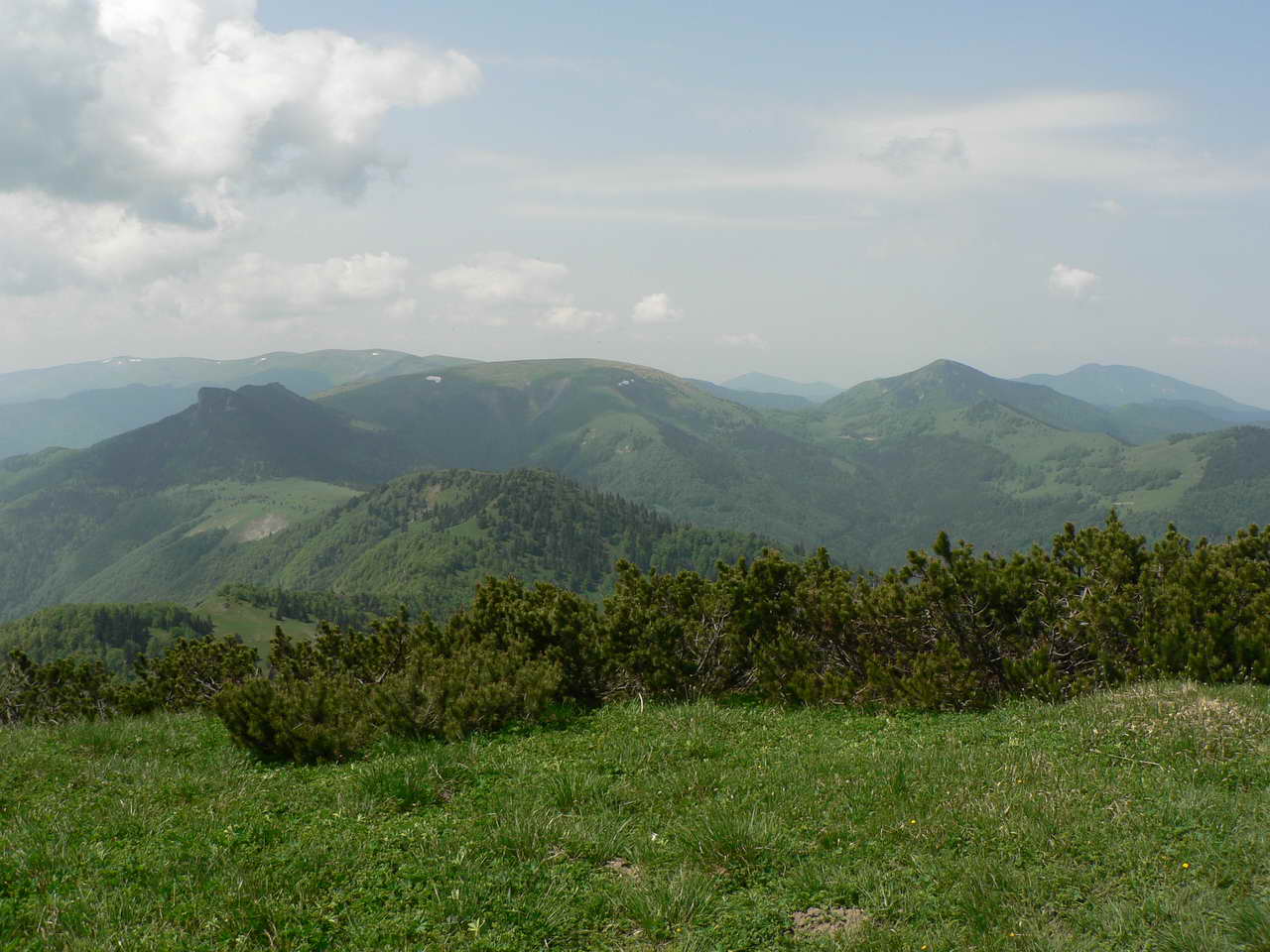 P1080228_resize.JPG