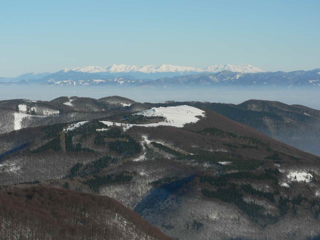 P1000148_resize.JPG