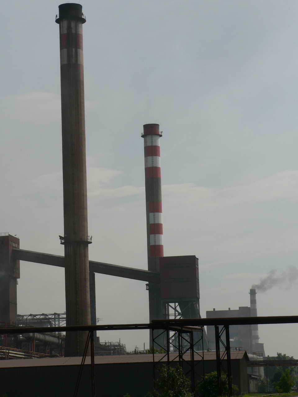 P1030408_resize.JPG