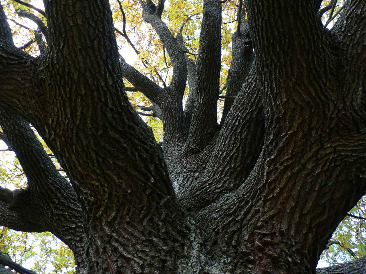 P1040818_resize.JPG