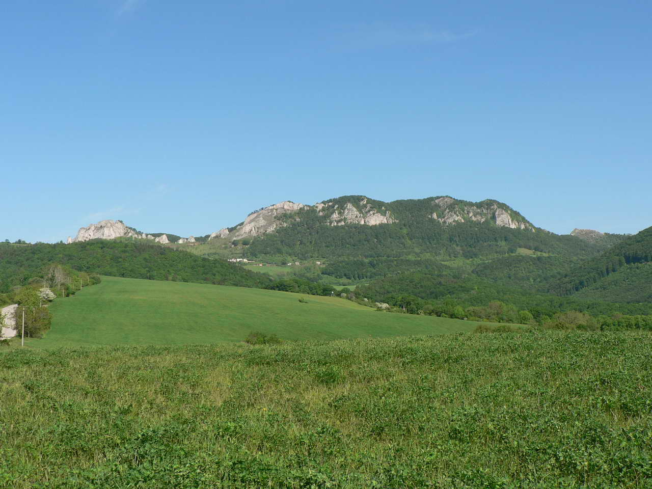 P1060376_resize.JPG