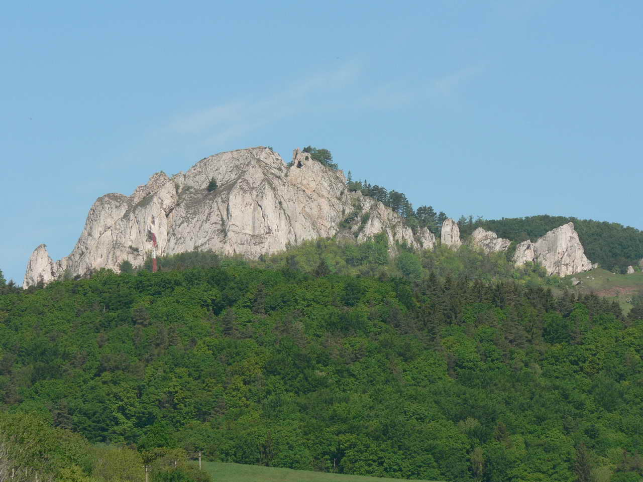 P1060377_resize.JPG