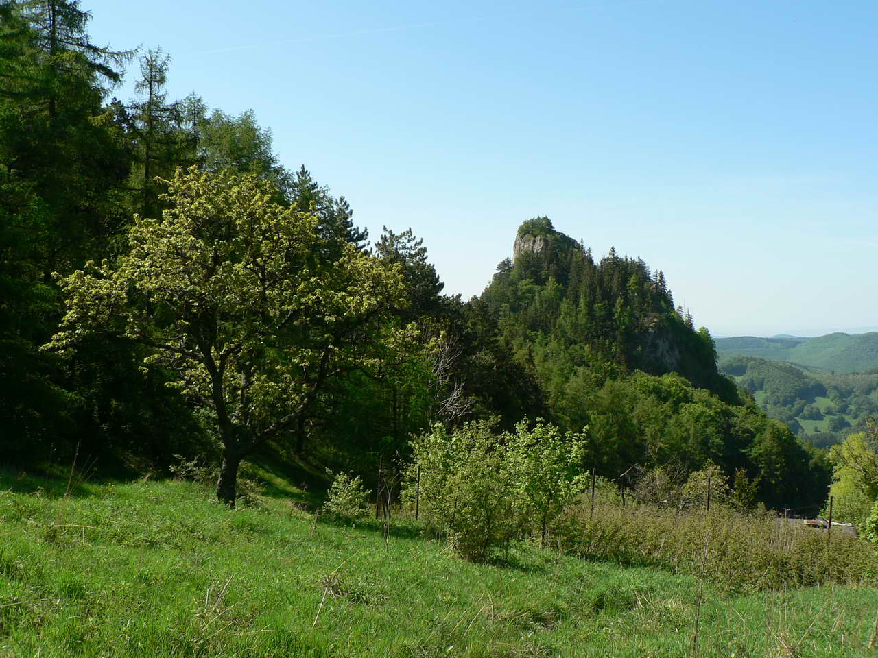 P1060382_resize.JPG