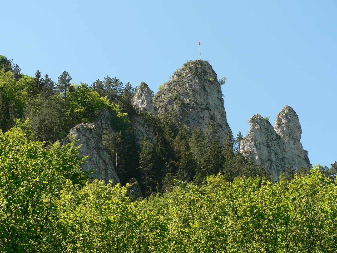 P1060386_resize.JPG