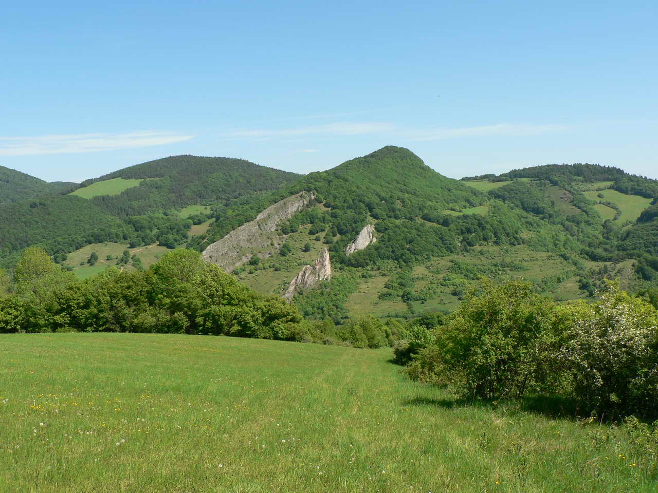 P1060387_resize.JPG