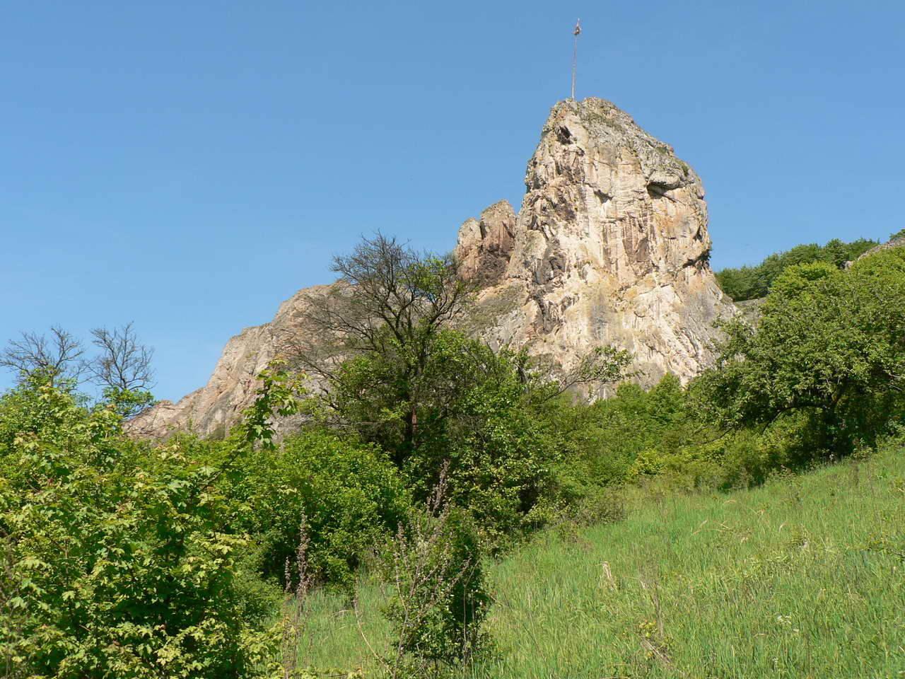 P1060409_resize.JPG