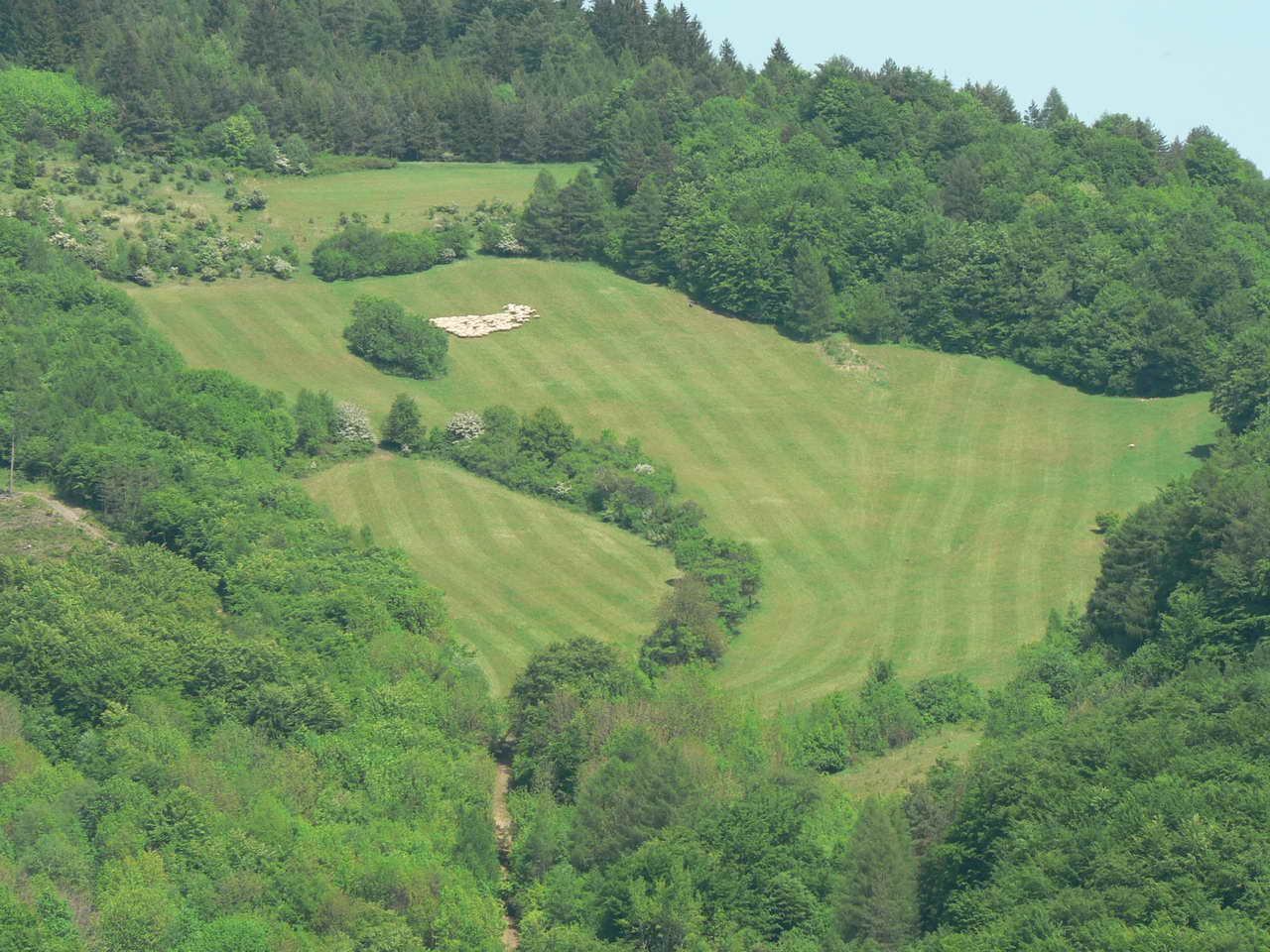 P1060426_resize.JPG
