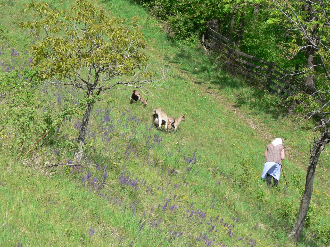 P1060437_resize.JPG
