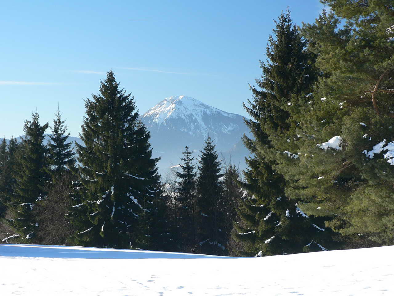 P1000234_resize.JPG