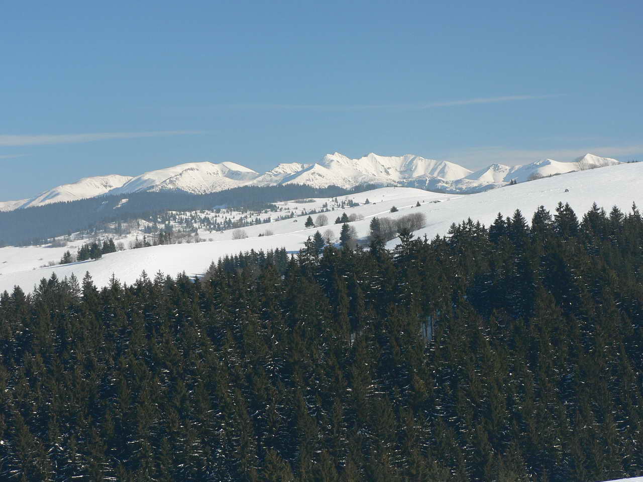 P1000258_resize.JPG
