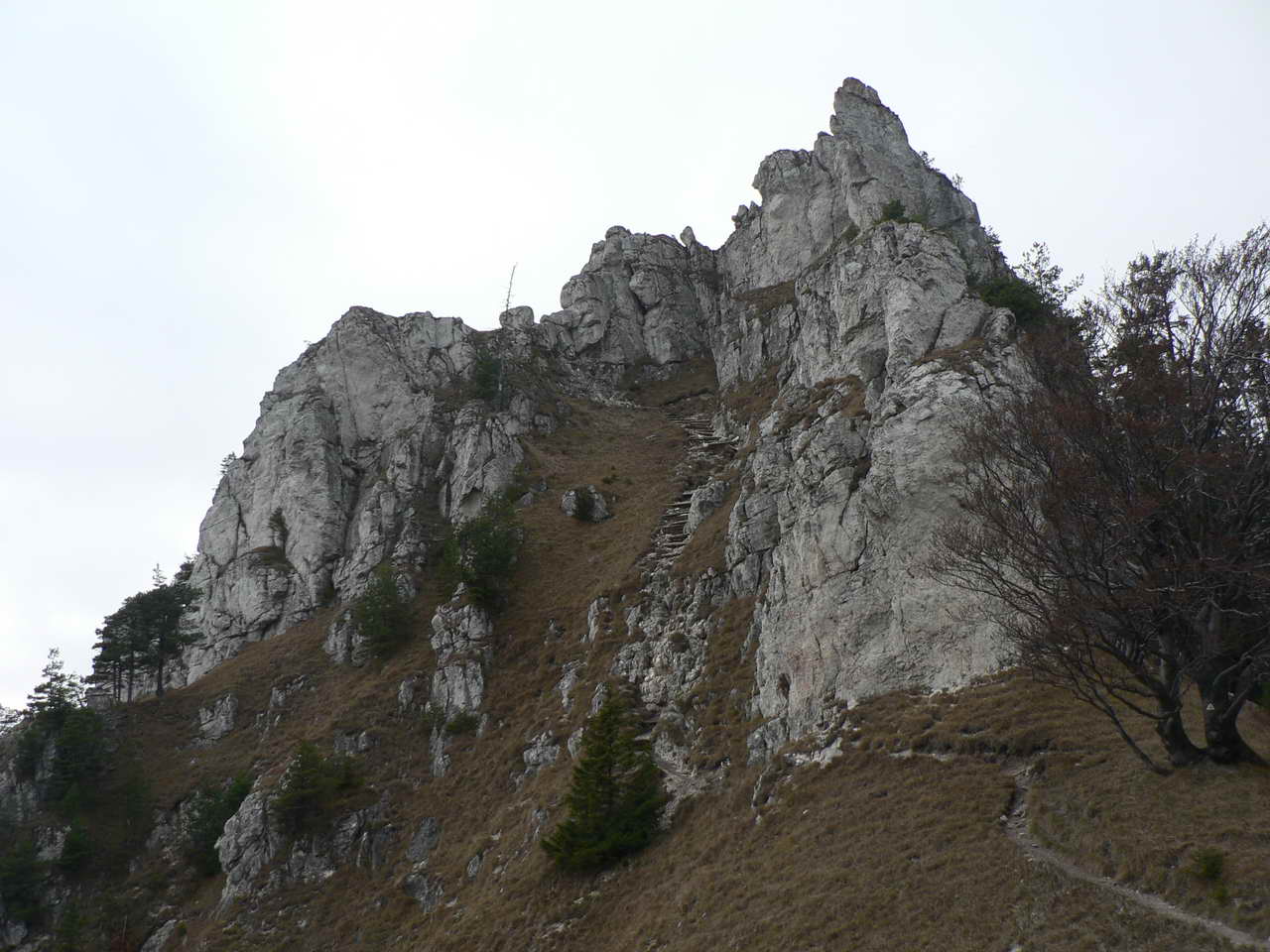 P1070832_resize.JPG
