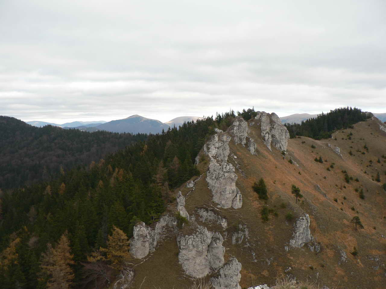 P1070838_resize.JPG