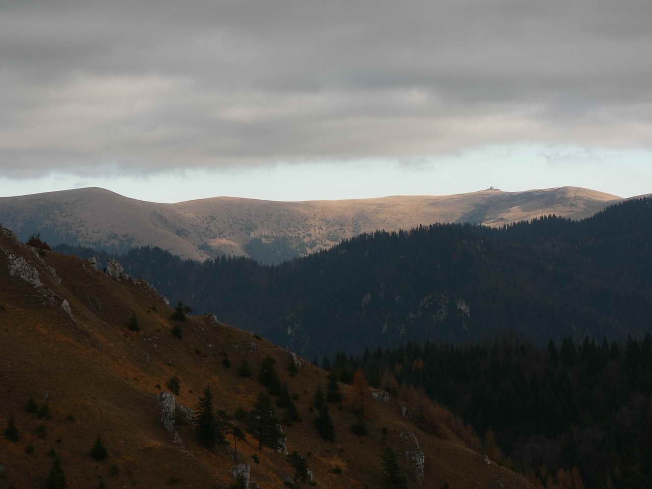 P1070839_resize.JPG