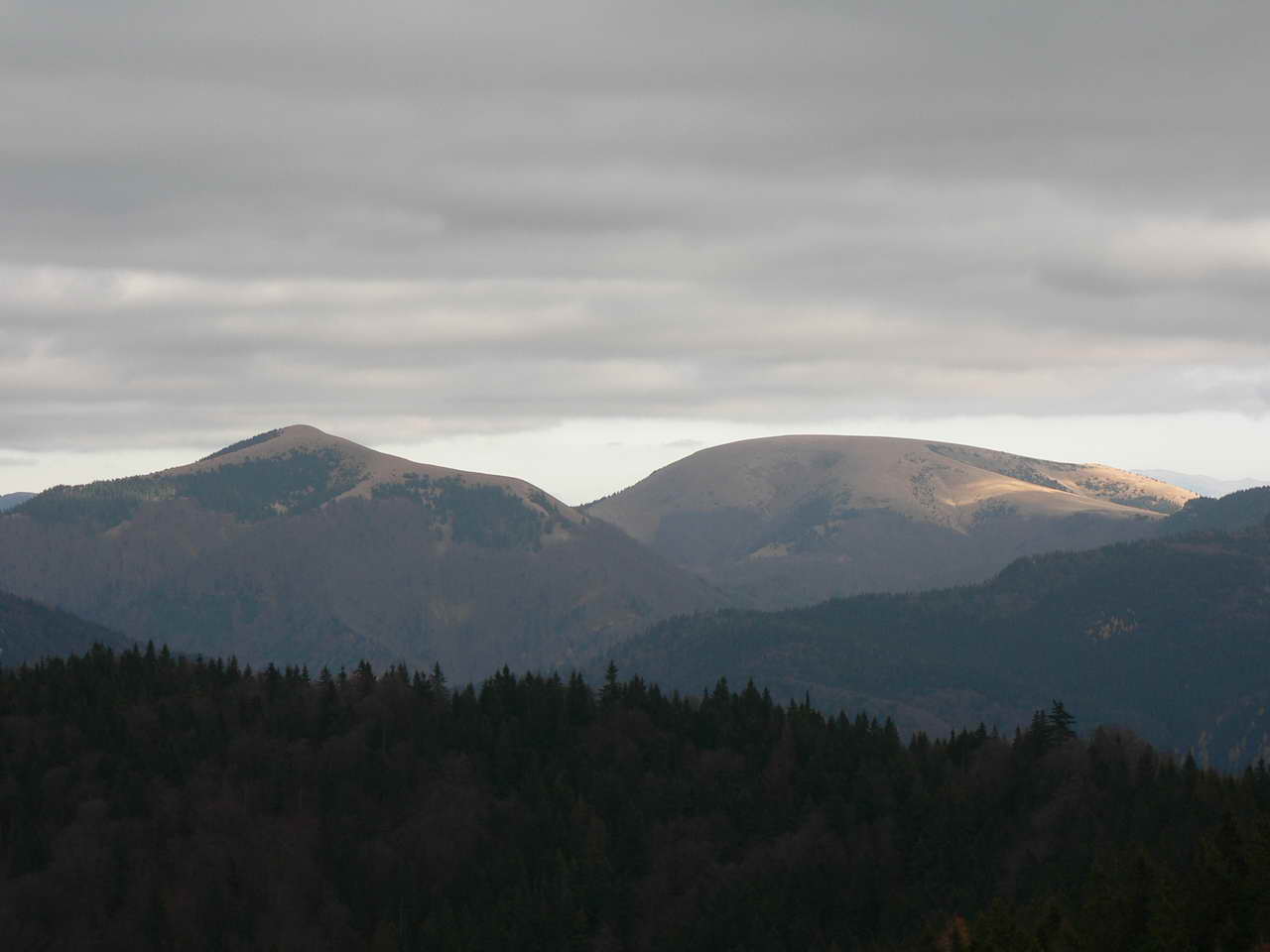 P1070842_resize.JPG