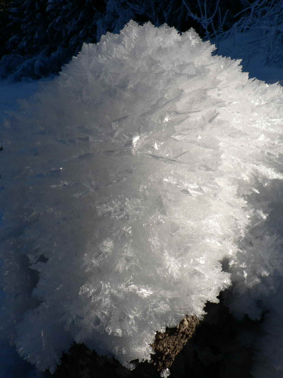 P1070906_resize.JPG