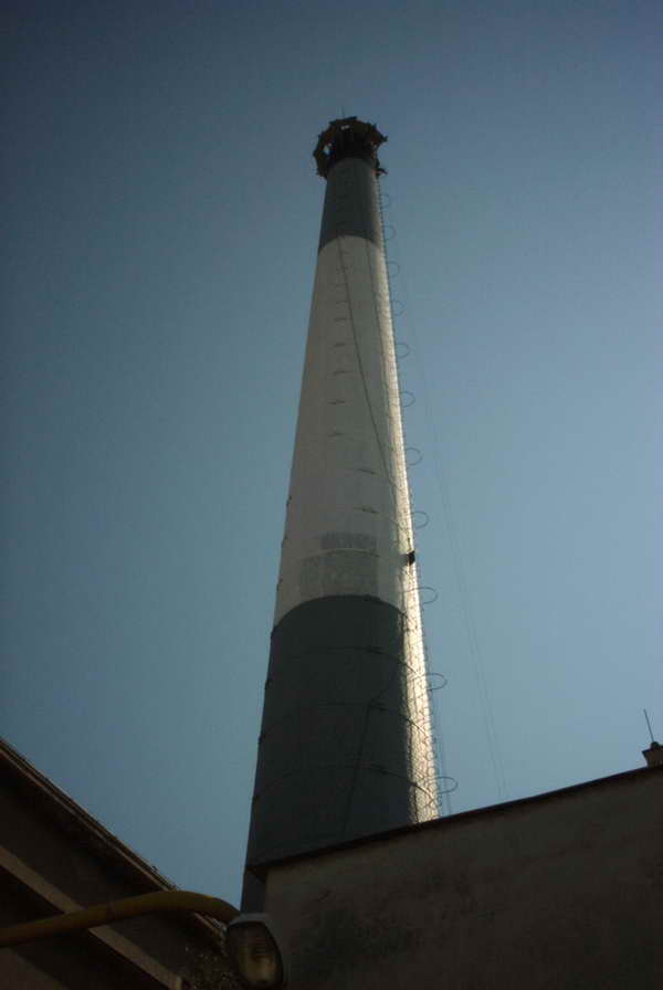 Pict0019_resize.jpg