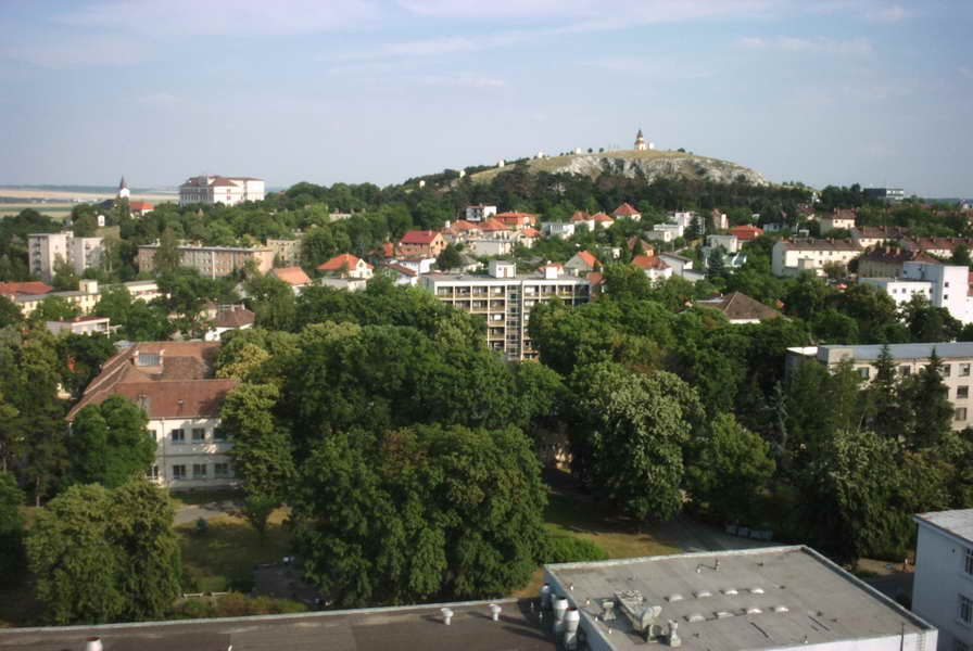 PICT0009_resize.JPG