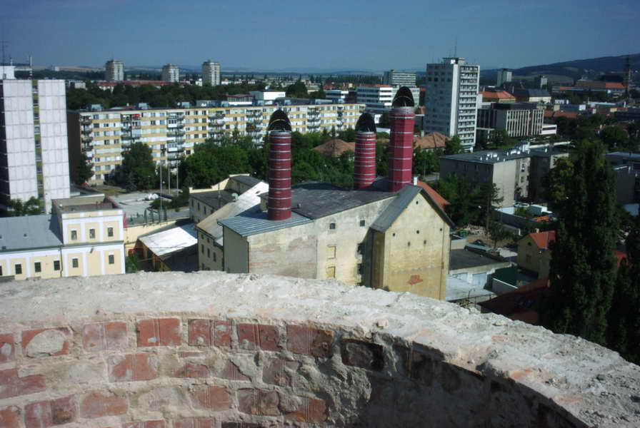 PICT0015_resize.JPG