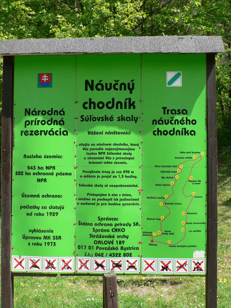 P1090332_resize.JPG