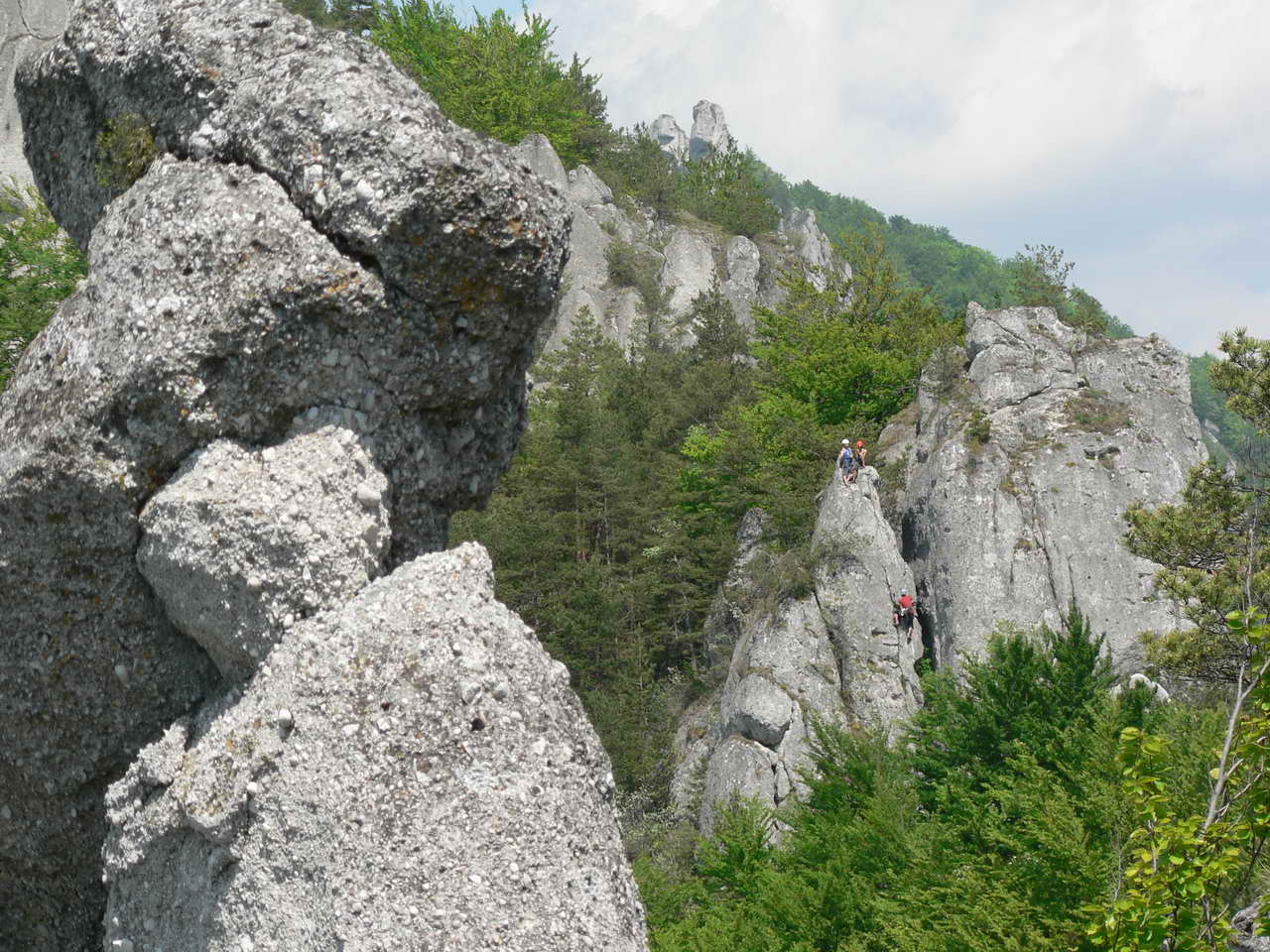 P1090339_resize.JPG