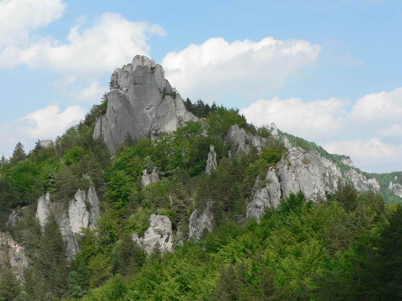 P1090347_resize.JPG
