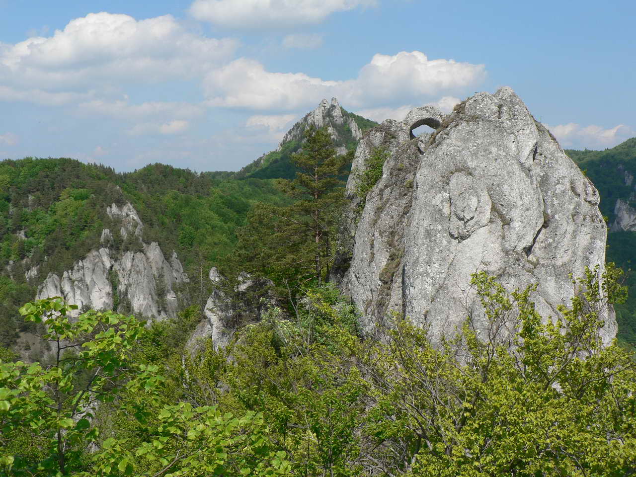 P1090353_resize.JPG