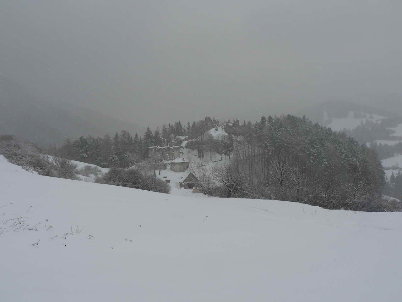 P1050663_resize.JPG