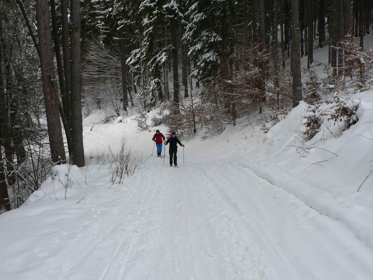 P1050694_resize.JPG