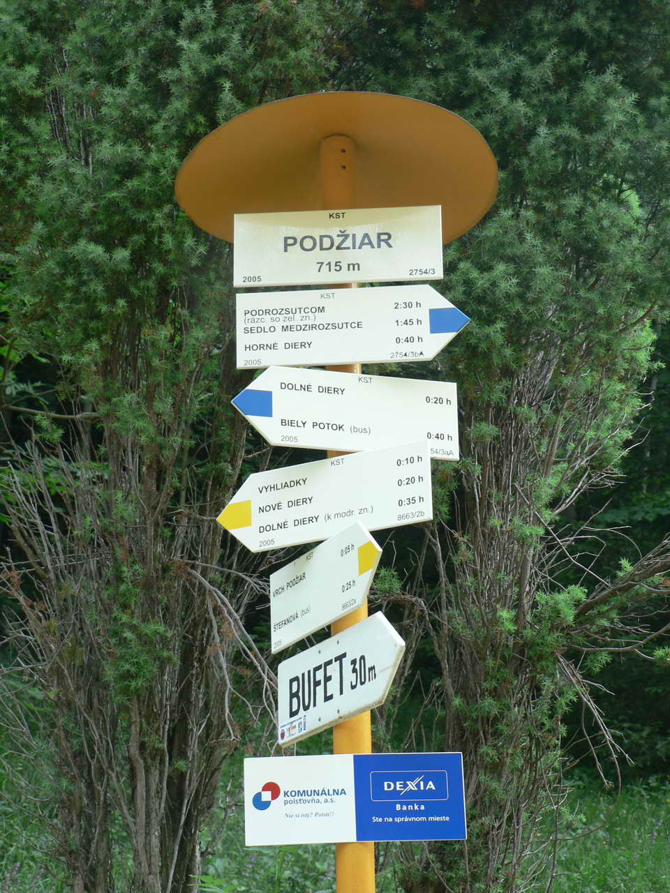 P1030784_resize.JPG
