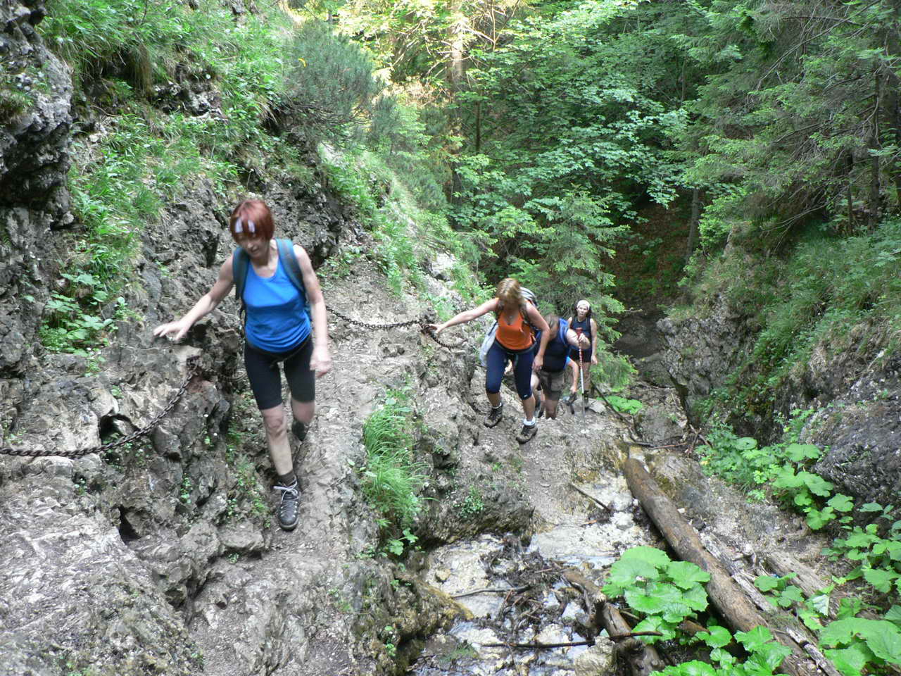 P1030797_resize.JPG