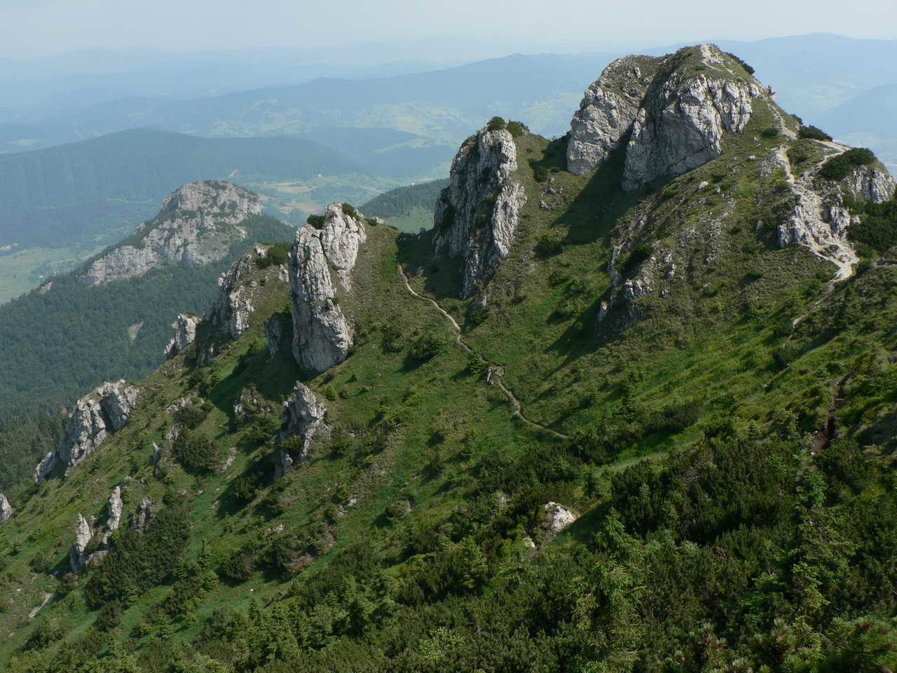P1030824_resize.JPG