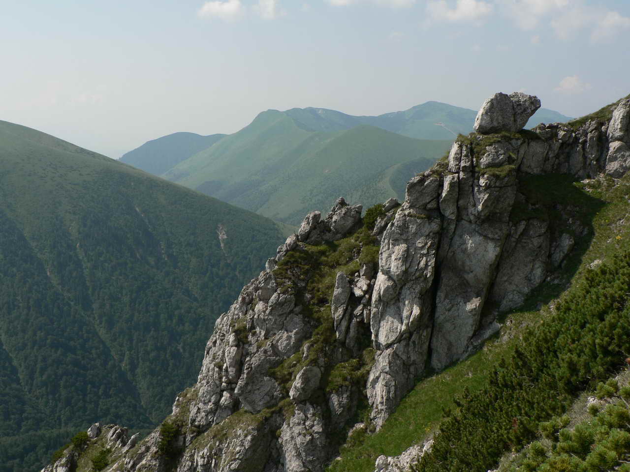 P1030835_resize.JPG