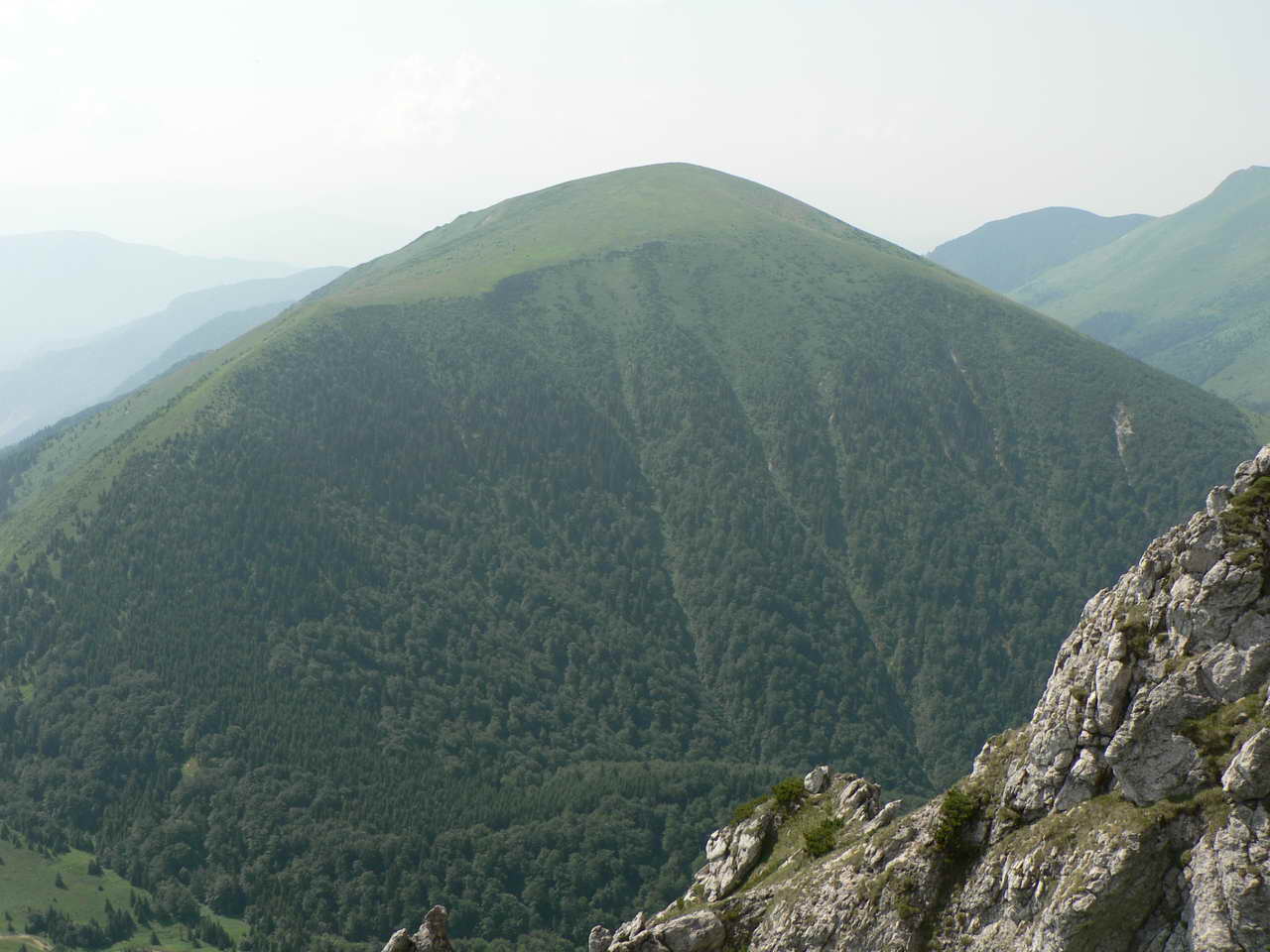 P1030836_resize.JPG