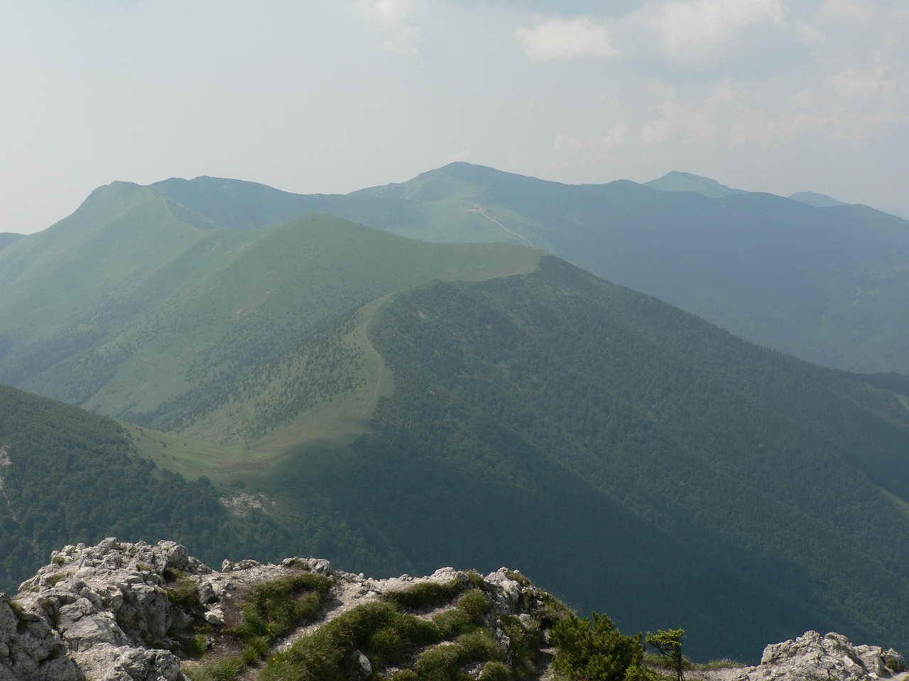 P1030849_resize.JPG