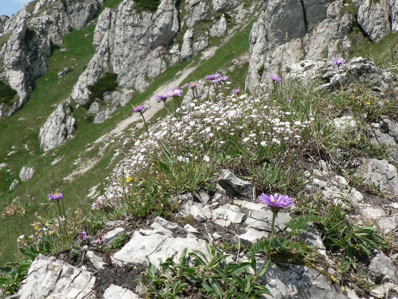 P1030860_resize.JPG
